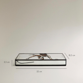 CAJA JOYERO DE CRISTAL CON PERFILES DE METAL, 