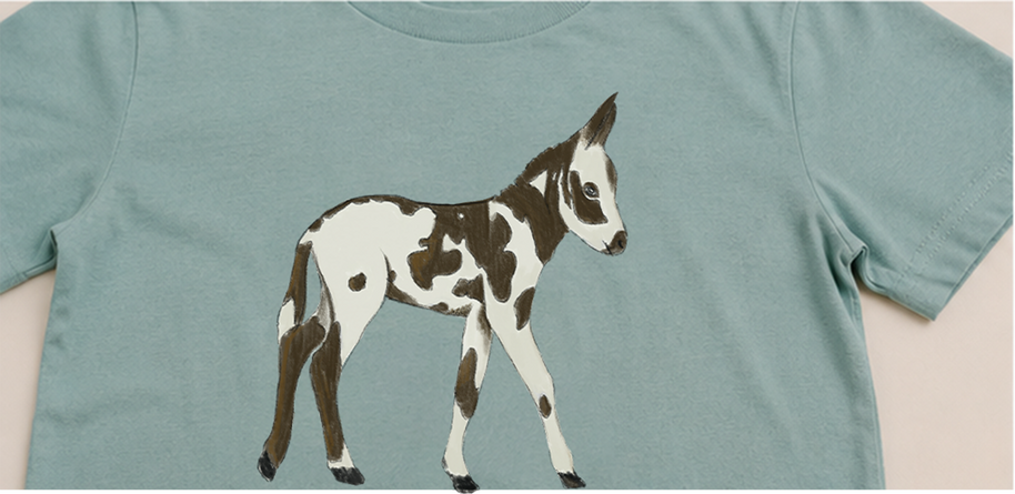 CAMISETA MANGA CORTA BURRITO PÍO KIDS