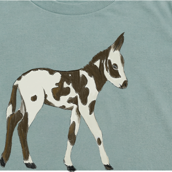 CAMISETA MANGA CORTA BURRITO PÍO KIDS