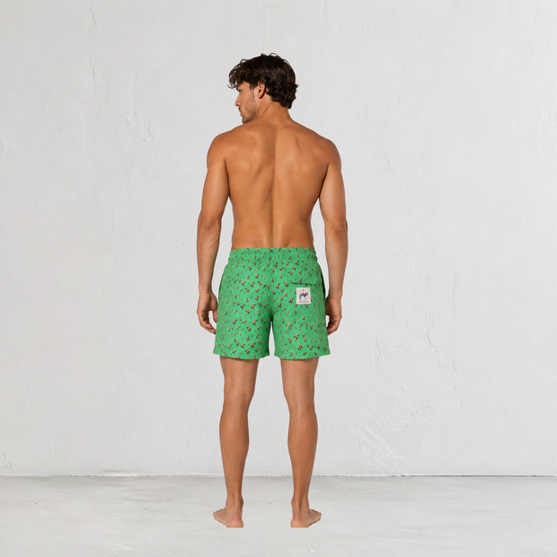 BAÑADOR HOMBRE VERDE